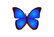 bkViewer v8.2b 免费电脑看图软件